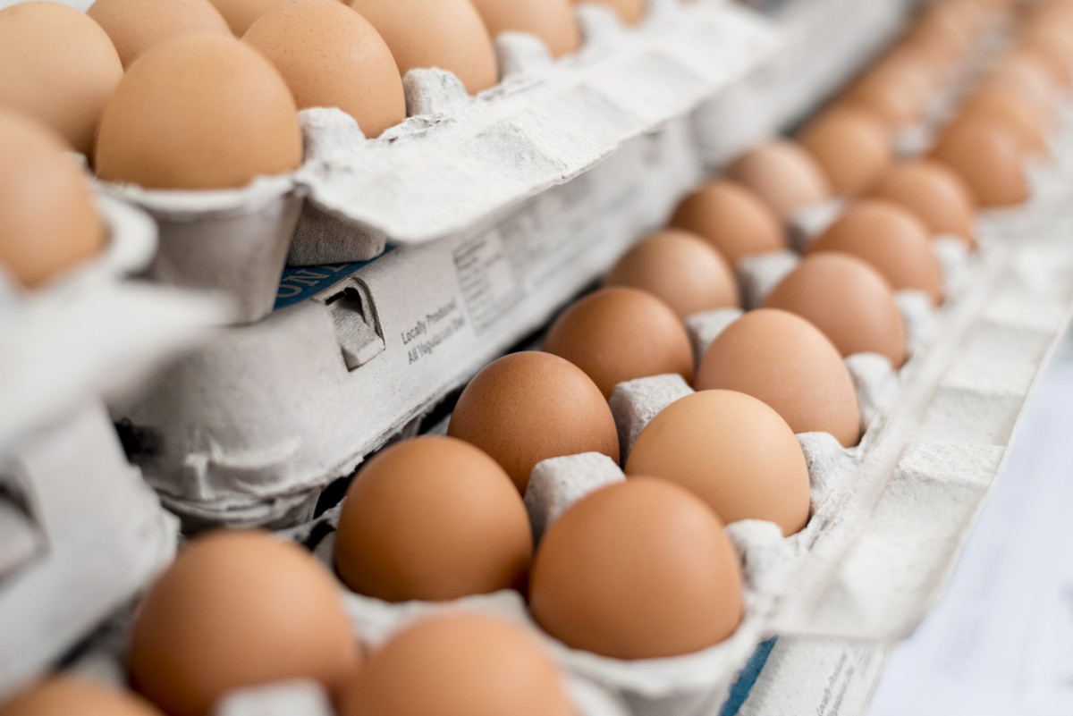 Egg Prices To Shoot Up By 30% After Ramadan – Poultry Farmers Association